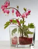 SANDRA RICH Vase en forme de boîte, hauteur : 95 mm, Voir les images du produit 5