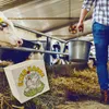 Eierkasse Spardose aus Holz - ich bin ein glückliches Huhn Produktbild-Vorschau 6