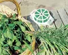 Bindedraht FloraSelf Metall 50 m Produktbild-Vorschau 2