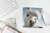 MuchoWow® Mauspad Mousepad Alpaka - Tier - Weiß 20x20 cm - Produktbild-Vorschau 5