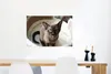 MuchoWow® Poster Niedliche kleine burmesische Katze im Korb Produktbild-Vorschau 5