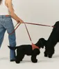 CAFIDE Jala Multipositions-Hundeleine Braun, 2,43 m, Leder Produktbild-Vorschau 2