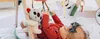 Babygym Tiny Love Boho Chic Luxe Anteprima dell’immagine prodotto 5