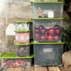 Rotho Aufbewahrungsbox mit Rädern 44L Evo Total - Produktbild-Vorschau 6