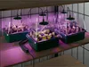 PARKSIDE® Anzuchtkasten-Set, mit Zubehör (LED Anzuchtset Produktbild-Vorschau 2