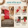 HUND IST KÖNIG Verband selbstklebend, 5 cm breite Produktbild-Vorschau 3
