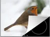 KitchenYeah© Herdabdeckplatte Rotkehlchen - Schnee - Vogel Produktbild-Vorschau 1