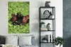 MuchoWow® Poster Nilpferd - Wasser - Pflanzen 80x120 cm - Produktbild-Vorschau 5