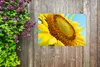 MuchoWow® Produktbild-Vorschau 5