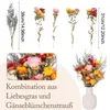 Bouquet de fleurs séchées : camomille et immortelle Voir les images du produit 2