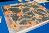 Asmodee Root, Stolní hra, 10 rok/roky, 60 min Náhled obrázku produktu 3