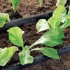 Zraszacz koralikowy Claber 1/2" - wąż wodny 25 M Podgląd zdjęcia produktu 2