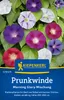 Kiepenkerl Prunkwindensamen Morning Glory Ipomoea purpurea Produktbild-Vorschau 5