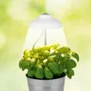 LED Teleskop-Pflanzenleuchte Pflanzenlampe Pflanzenstrahler Produktbild-Vorschau 1