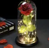 MT MALATEC Rose éternelle en verre Lumière LED Boîte cadeau Voir les images du produit 3