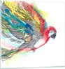 Bilder auf glas - Parrot Flügel Federn Natur - 60x60cm - Produktbild-Vorschau 1