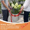 Regulowany pasek podtrzymujący donice, 2,2 m x 5 cm Podgląd zdjęcia produktu 4