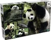 WWF Puzzle Pandas (1000 Teile) Pandabär Puzzel Bär Produktbild-Vorschau 1