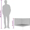 vidaXL Gartensofa mit Kissen Halbrundes Poly Rattan Produktbild-Vorschau 6