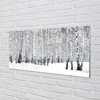Glasbilder 120x60 Wandkunst Winter Birken Produktbild-Vorschau 2