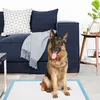 COSTWAY Tapis d'entraînement pour chiens, Design 5 couches Voir les images du produit 2