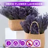 1 Schachtel natürlicher getrockneter Lavendel, farbecht, Produktbild-Vorschau 3