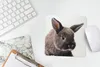 MuchoWow® Mauspad Mousepad Kaninchen - Haustier - Porträt Produktbild-Vorschau 5
