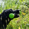 Dog Comets Hundespielzeug Meteor Wurfstock grün, Größe: L Produktbild-Vorschau 6