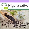 SAFLAX - BIO - čierny kmín - Nigella sativa - 300 Semená Náhľad obrázku produktu 10