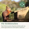Orni Eichhörnchen Futter 1kg | Ganzjahresfutter Nüsse- Produktbild-Vorschau 5