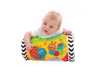 Playgro Baby rouleau pour marcher à quatre pattes, Voir les images du produit 3