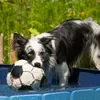 Relaxdays Hundepool, H x D: 30 x 120 cm, faltbar, mit Produktbild-Vorschau 3