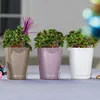 LECHUZA Pot à plantes Mini-DELTINI Premium Anthracite Voir les images du produit 10