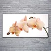 Acrylglasbilder 120x60 Wandbild Druck Blumen Pflanzen Produktbild-Vorschau 2