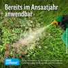 Roundup Rasen-Unkrautfrei 100ml Konzentrat gegen Produktbild-Vorschau 4