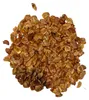 Graines de Sequoia Sempervirens - Lot de 10 - Graines Voir les images du produit 2