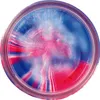 Berkley PowerBait® Glitter Trout Dough (Captain America Produktbild-Vorschau 2