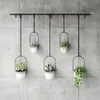 Five white hanging planters with plants are displayed on a concrete wall. Podgląd zdjęcia produktu