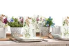 Serviette Fresh Herbs aus Linclass® Airlaid 40 x 40 cm, 50 Produktbild-Vorschau 2