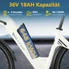 TTGO C3 E-Bike Cityrad 28 Zoll, 55Nm, 650Wh, 150km, Produktbild-Vorschau 11