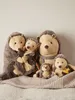 A family of hedgehog plush toys are arranged on a textured blanket. Anteprima dell’immagine prodotto