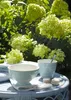 Latte Becher Athea white Produktbild-Vorschau 7