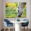 MuchoWow® Poster Weidendes Fjordpferd an einem Sommertag Produktbild-Vorschau 5