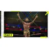 A fighter with arms raised in victory in a UFC arena. Produktbild-Vorschau