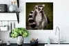 MuchoWow® Poster Affe - Zweig - Tier 50x50 cm - Produktbild-Vorschau 3