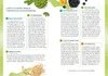 Mein Mikrobiom-Masterplan Produktbild-Vorschau 3