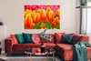 MuchoWow® Poster Orangene Tulpen im Keukenhof in den Produktbild-Vorschau 2