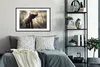 MuchoWow® MuchoWow® Gerahmtes Poster Elefant mit Person in Produktbild-Vorschau 2