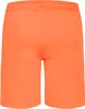 Pantaloncini Nebulus TAURINO uomo, bermuda, pantaloncini Anteprima dell’immagine prodotto 3