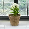 Seegras Pflanzkorb natur mit Henkel - 27 x 24 cm - Produktbild-Vorschau 4